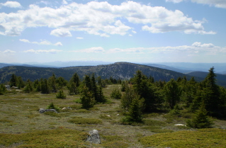 Another view from summit of Brent Mtn 2009-07.